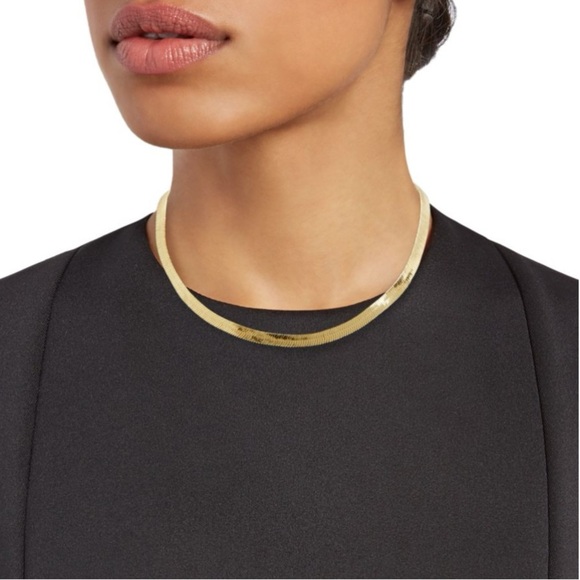 ‼️RARE‼️🎸SHASHI🎸🔥NWT🔥Khaleesi 14K Goldplated Chain Necklace - Picture 2 of 11